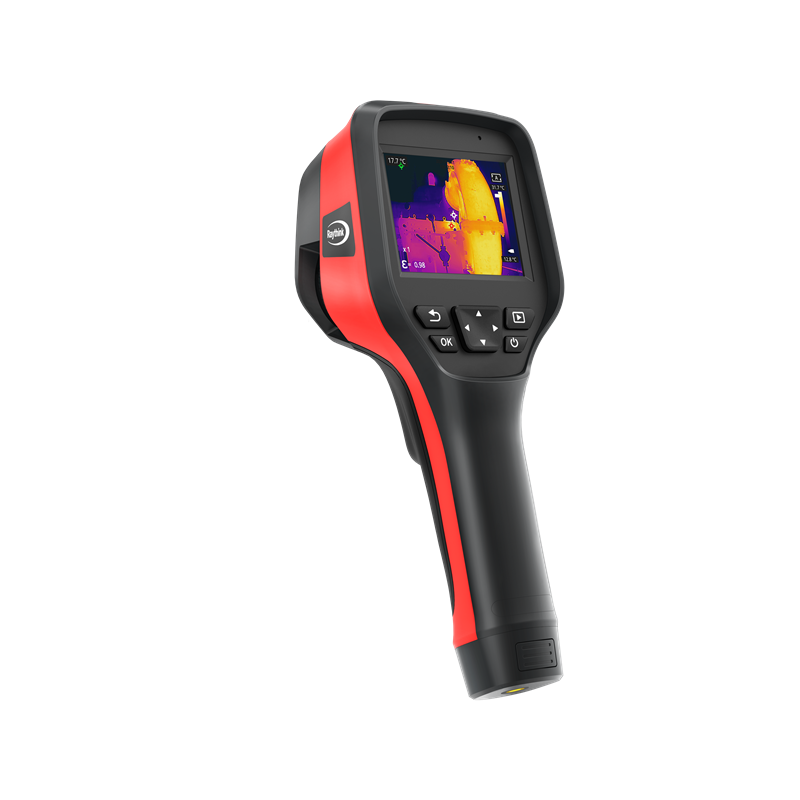 女人张开腿让男人添