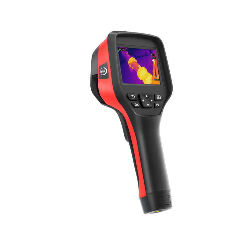 女人张开腿让男人添