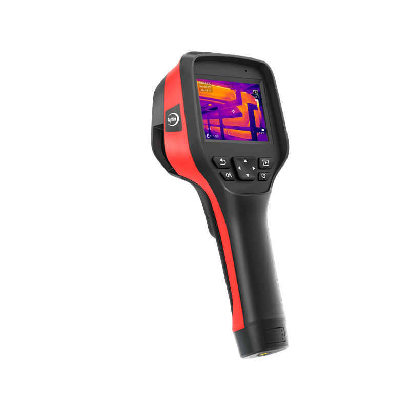 女人张开腿让男人添