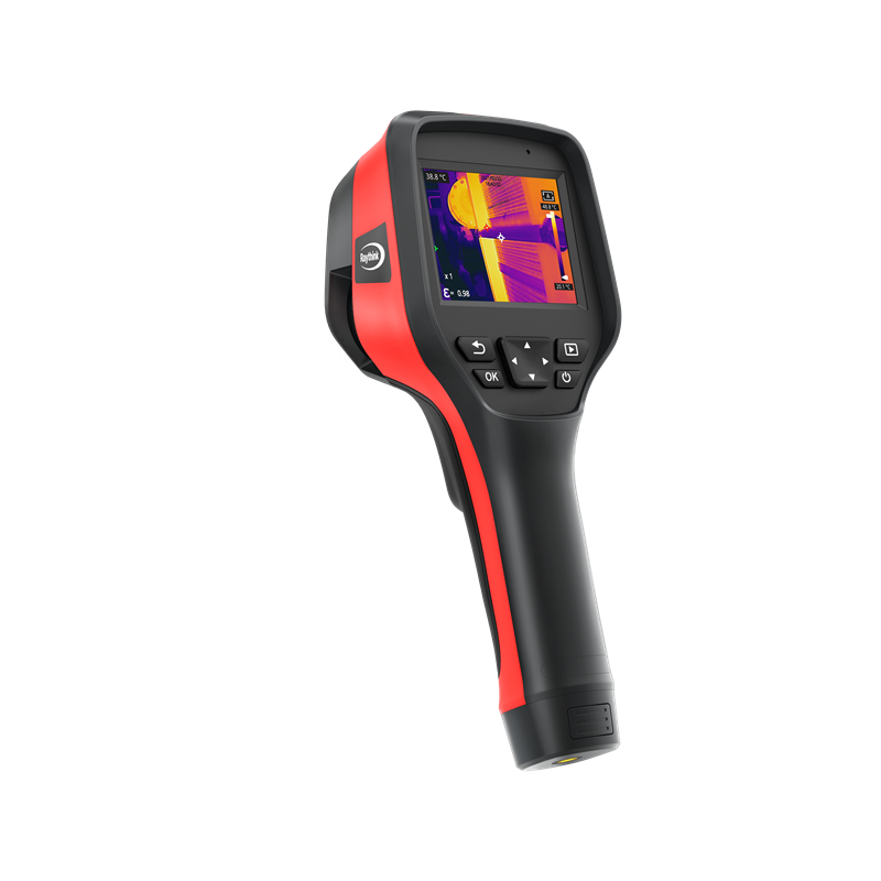 女人张开腿让男人添