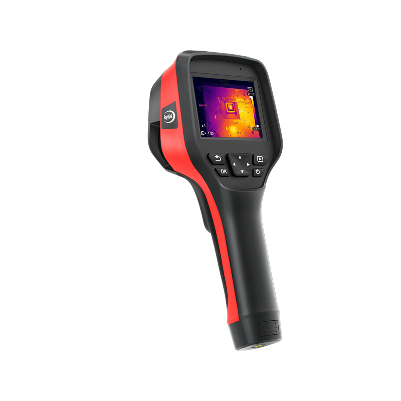 女人张开腿让男人添