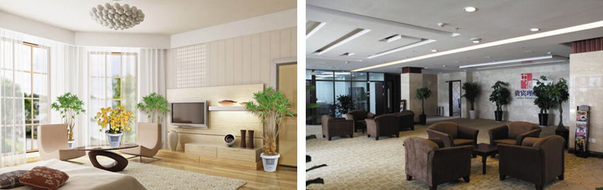 女人张开腿让男人添