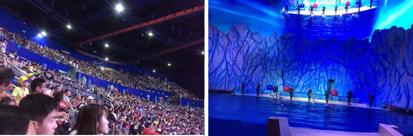 女人张开腿让男人添