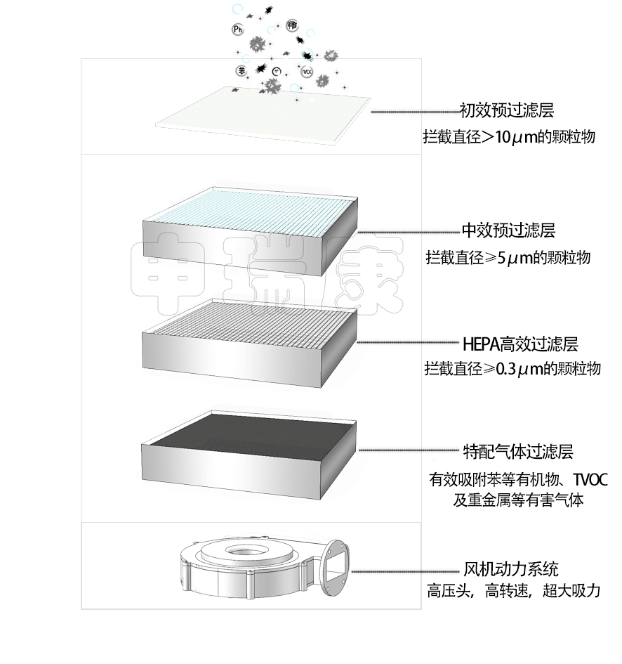 女人张开腿让男人添