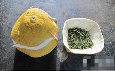 柚子皮 茶叶——室内商用净化机