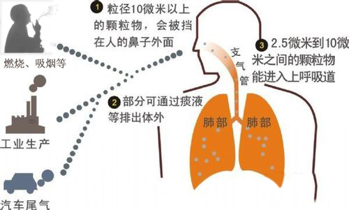 女人张开腿让男人添